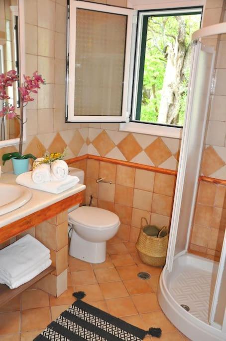 Villa Erietta Near Lefkas Center