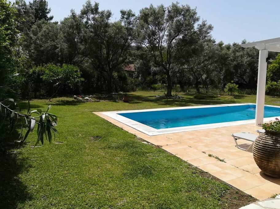 Erietta Near Lefkas Center * Apolpaina