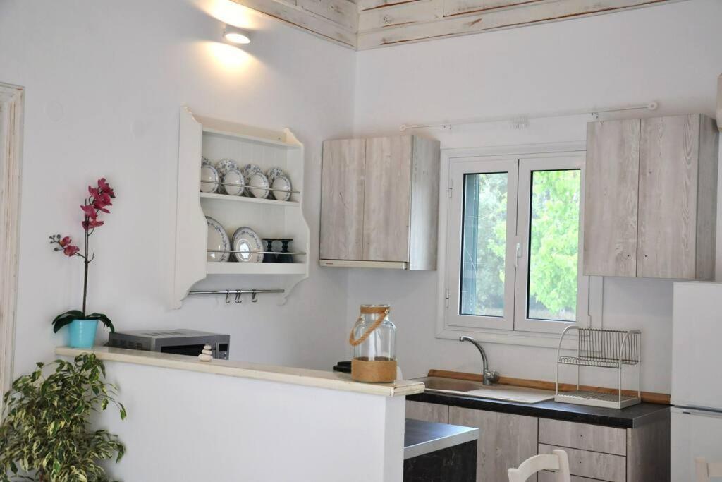 Erietta Near Lefkas Center Villa Apolpaina