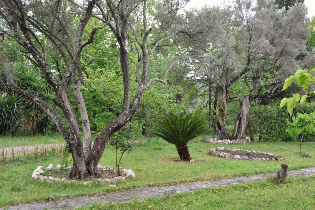 Villa Erietta Near Lefkas Center *